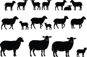 Black silhouette collection of sheep and lambs isolated on white background, farm animal vector illustration, agriculture design, rural livestock, wool farming concept
