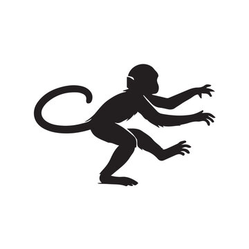 vector silhouette of a monkey