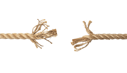 A frayed brown rope is broken in two pieces with separated strands of fiber visible on both ends studio shot on white and transparent