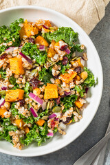 Homemade Organic Harvest Farro Butternut Squash Salad