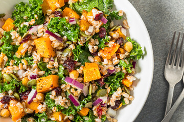 Homemade Organic Harvest Farro Butternut Squash Salad