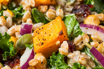 Homemade Organic Harvest Farro Butternut Squash Salad