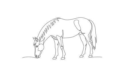 Elegant equine minimalist line drawing showcasing a horse grazing gracefully in a simple artistic