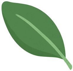 Isolated green leaf illustration. Cute floral doodle for floral arrangement, journaling, planner, greeting card, printable art, and decorative projects