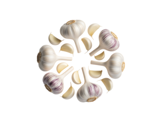 Garlic bulbs and cloves arranged in a circular pattern isolated on a transparent background