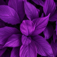 Close-up vibrant purple leaves