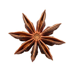 star anise isolated on white background
