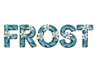 Frost word made of blue petals and white lilies text isolated on a transparent background