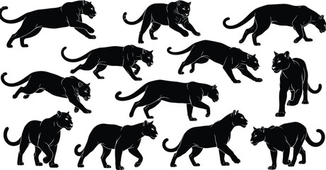 Black panther and jaguar silhouette vector collection, set of large wild cats walking, running, stalking, and prowling in various hunting poses, isolated animal illustrations on white background.