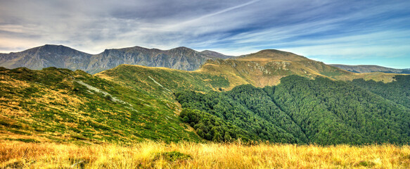 Beautiful landscape in the summer mountain