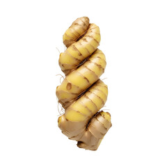Spiral Cut Ginger Twist