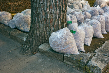 A large number of trash bags after raking up fallen leaves. Taking out the trash.