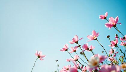 Delicate Pink Wildflowers Blooming Under Clear Blue Sky in Spring