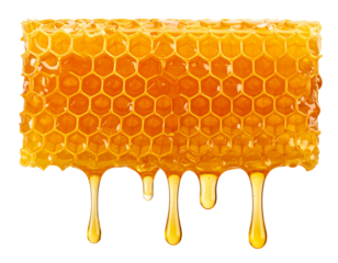 Geometric Honeycomb Slab with Slow Dripping Honey Stream, Front View, Isolated