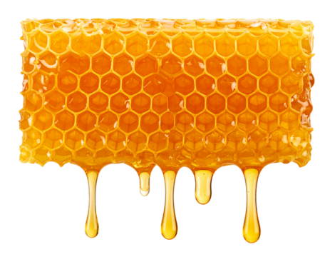 Geometric Honeycomb Slab with Slow Dripping Honey Stream, Front View, Isolated - Powered by Adobe