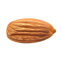 Almond Single Macro Close-up