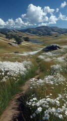 Pathway through wildflowers in a scenic landscape under a blue sky