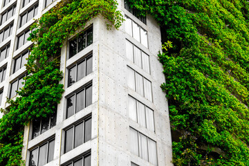 Urban high-rise with green vertical garden on concrete facade