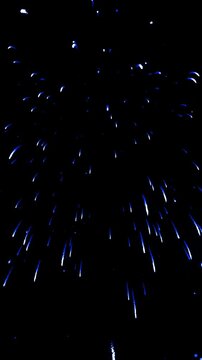 Vertical blue willow firework explodes with falling rain trails. Beautiful holiday finale animation for social media content
