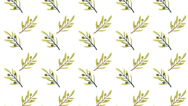 olive branch background 
