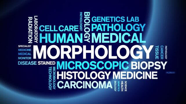 Morphology animated word cloud-text design animation tag kinetic typography seamless loop.