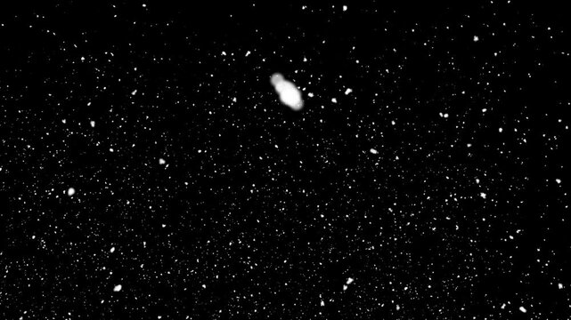 snow falling on black background
