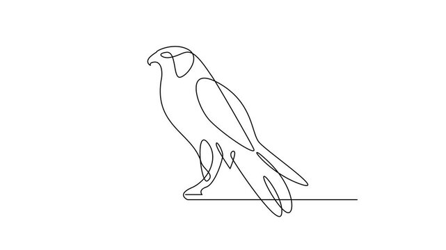 One line drawing of falcon