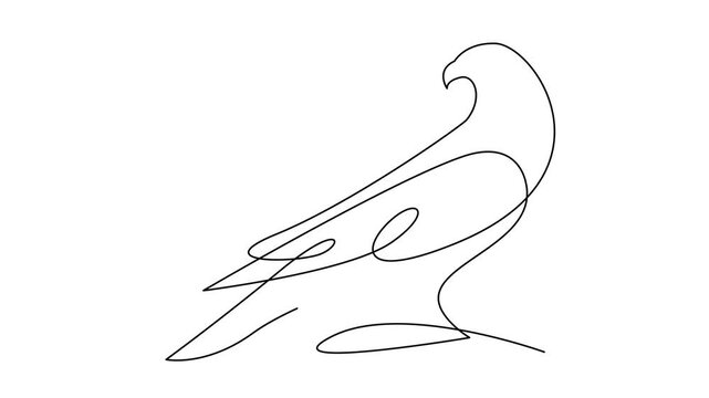 Eagle one line drawing, continuous outline vector.