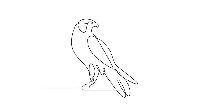 Falcon One Line Drawing Illustration
