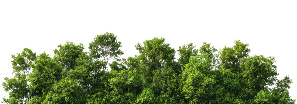 Lush green treetops of a dense forest under a clear blue sky. foliage and natural beauty. ideal for promoting outdoor activities and nature conservation - Powered by Adobe