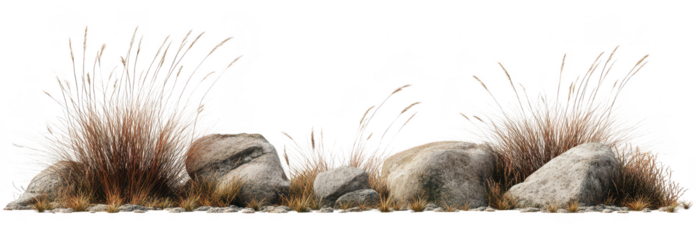 A serene landscape featuring a collection of textured rocks surrounded by tall. golden grasses. set against a clean white background. ideal for nature-themed designs and illustrations