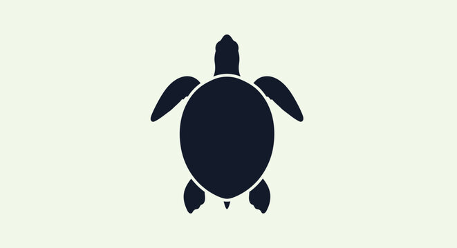 Sea turtle icon with transparent background