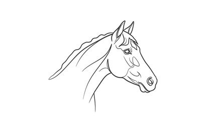 Elegantly stylized horse head drawing showcases grace and simplicity with fine black lines