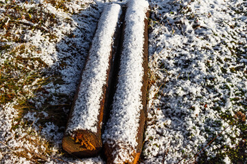 Two logs with fresh, powdery snow resting on patchy grass during a bright early winter day