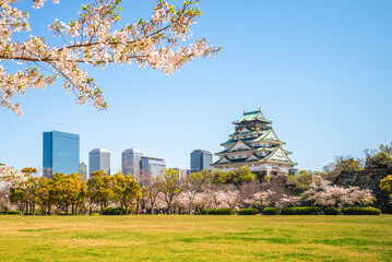 Nishinomaru garden and Osaka Castle located at Osaka, Kansai, Japan