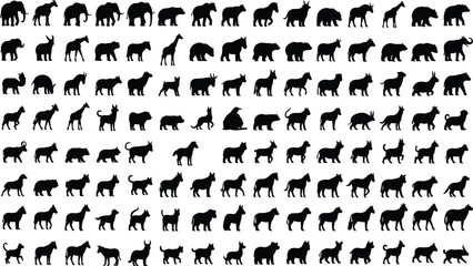 Animal silhouette grid, diverse species, black and white contrast, wildlife icons, mammal shapes, educational design, visual recognition, nature illustration, species variety, animal classification