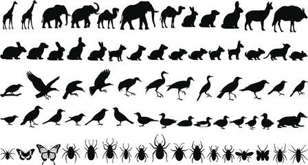 Animal silhouettes, wildlife collection, birds, mammals, insects, black shapes, white background, educational chart, nature icons, graphic reference, taxonomy