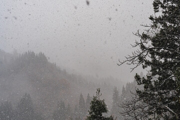 吹雪に霞む冬山
