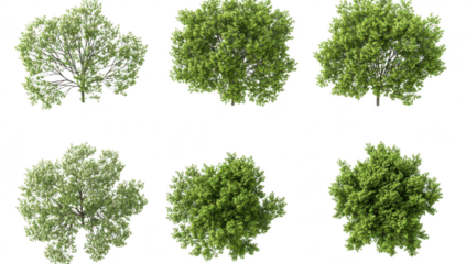 A collection of six lush green tree tops displayed in a grid format. foliage and natural textures. ideal for use in landscaping or environmental design projects