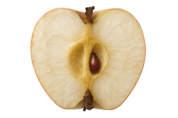 Apple half in cross-section showing seed and core, a symbol of freshness, health, and natural growth