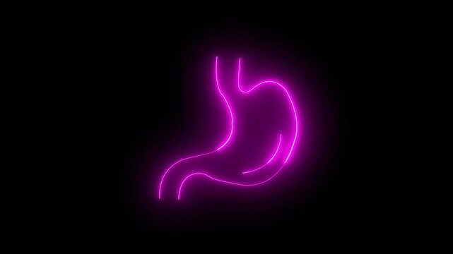 Neon Glowing Lungs and Kidney Icon Animation Glowing Line Symbol on Black Background 4k 