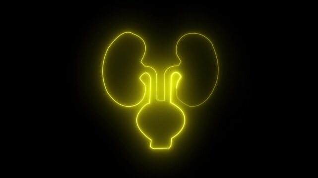 Glowing color neon line Human kidney icon isolated on a dark night background. Neon human kidneys icon in line style 4k video