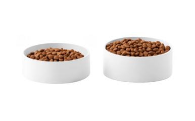 Two white bowls filled with dry pet food. placed side by side on a clean surface. a simple and modern feeding setup for pets. ideal for use in pet care or nutrition-related content