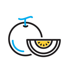 Vector multi color icon for Cantaloupe