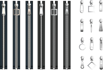 Collection of Fish Skeletons and X-ray Style Bone Illustrations © Graphicclick