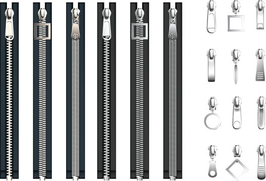 Collection of Fish Skeletons and X-ray Style Bone Illustrations