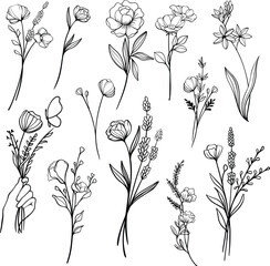 flower line drawing
