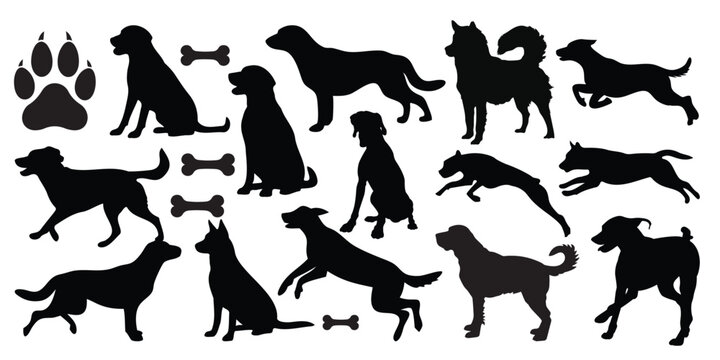 Dog Silhouette Vector Set – Pet Animal Icons, Paw Print, Bone Elements Collection