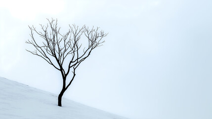 Obraz premium Silhouette of a single bare tree on a snow covered hill in a minimalist winter landscape with copy space