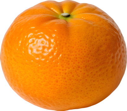 Single Bright Mandarin Orange Fruit Isolated